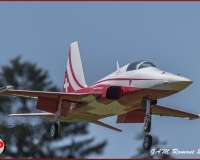 TSR Watermark - 0445